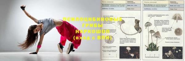 герыч Арсеньев
