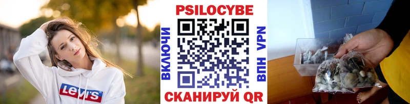 Купить закладки  Макаров  Псилоцибиновые грибы ЛСД 